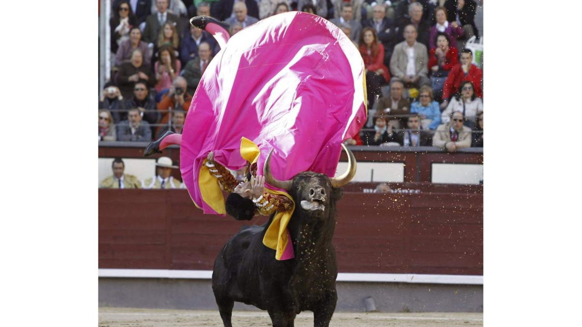 El primer astado de la tarde volteó a Eduardo Gallo.