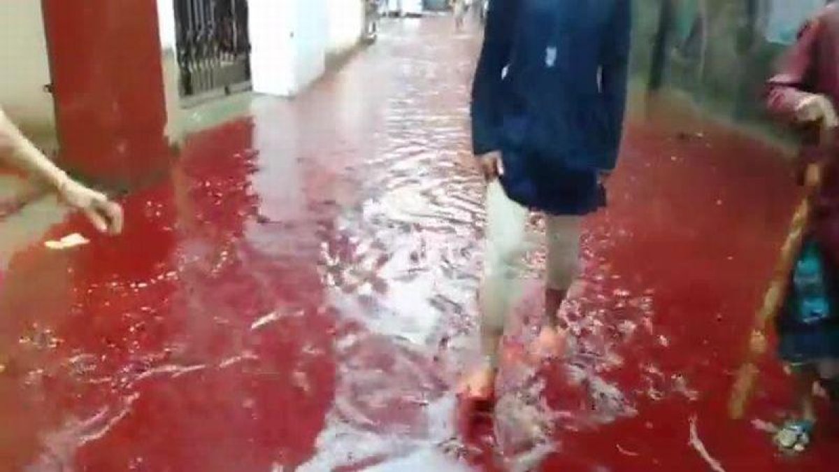 La sangre de los sacrificios de animales y la lluvia inundan las calles de Dacca (Bangladés).