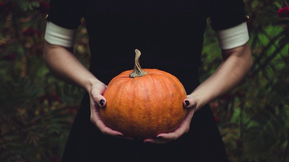 Halloween León 2019: 6 planes para pasar mucho miedo