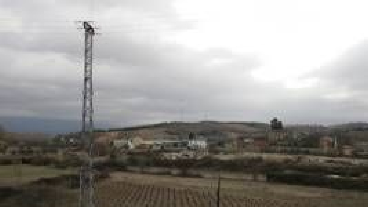Imagen de parte de los terrenos donde se quiere crear el área logística