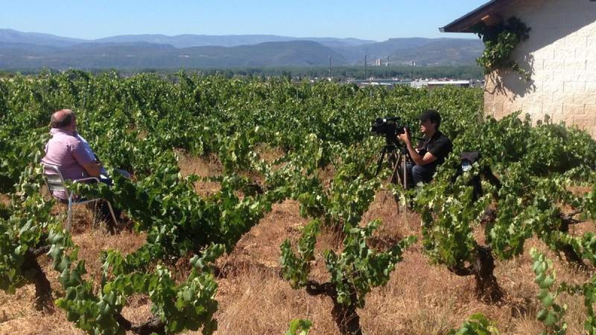 Rodaje de uno de los capítulos del Legado del Vino en una viña de la comarca del Bierzo. DL