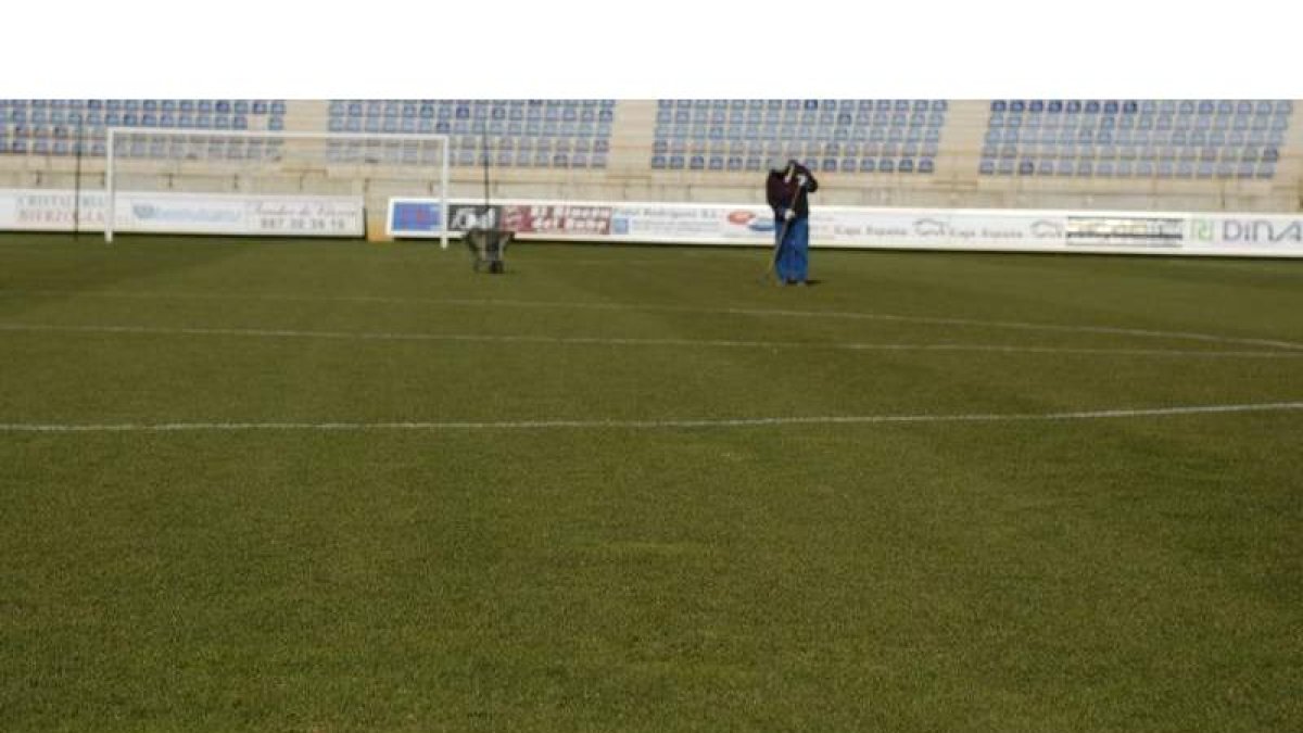 El cuidado del césped del estadio Reino de León así como del Área Deportiva de Puente Castro recibirá un tratamiento especial para acometer la fase de ascenso. RAMIRO