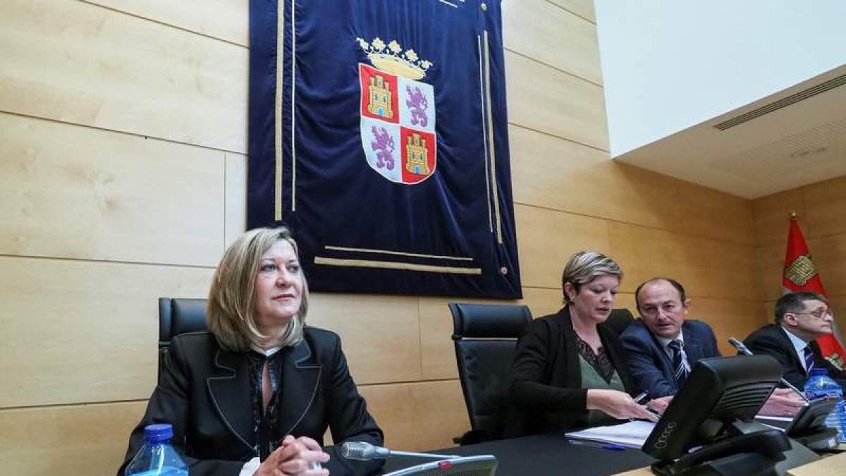 Pilar del Olmo, durante su comparecencia ante la Comisión de Economía y Hacienda. R. GARCÍA