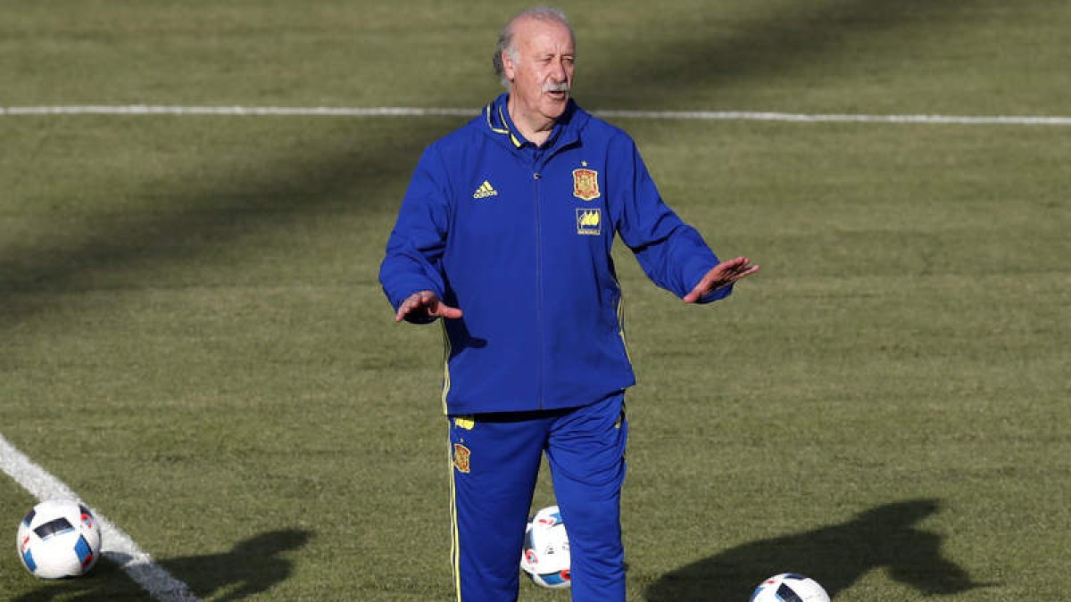 Vicente del Bosque retoma hoy los entrenamientos tras dos días de descanso. BALLESTEROS