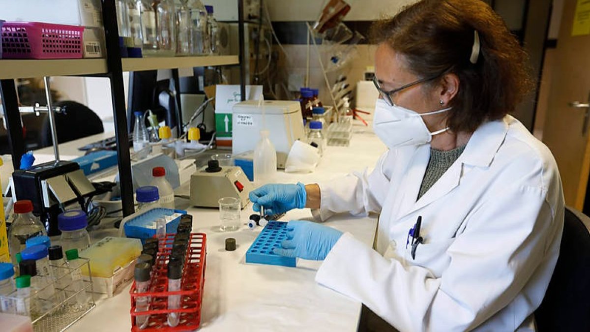 Una de las investigadoras de Inbiotec, en una imagen de archivo tomada hace un año. MARCIANO PÉREZ