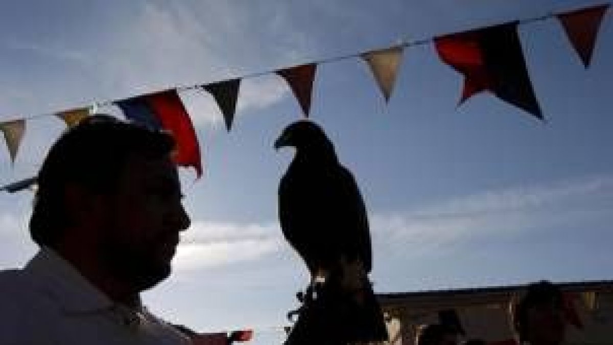 Los halcones no pueden faltar en citas festivas de estas características