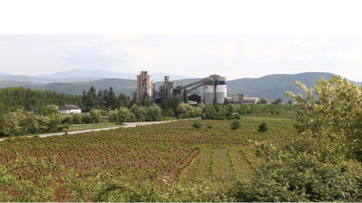 La cementera de Cosmos en Toral de los Vados, rodeada de frutales y viñedos, no renuncia a usar biomasa como combustible para elaborar su producción.