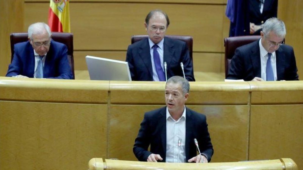 El portavoz socialista en el Senado, Ander Gil.