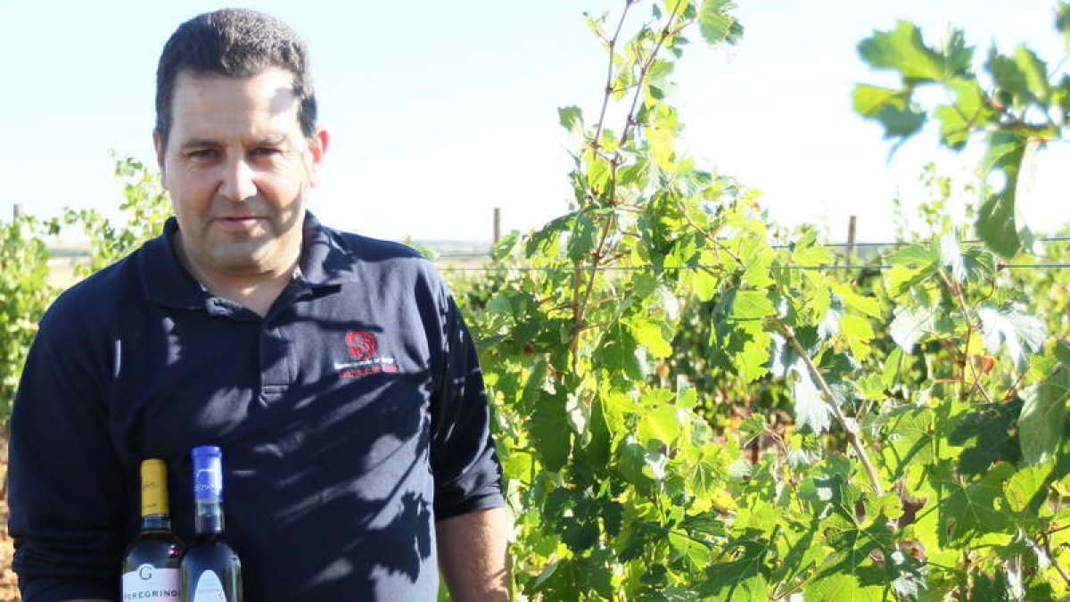 Fernández Pastor, en la viña que rodea a la bodega en el Alto deSanta Marina,a sólo unos cuantos metrosde Gondoncillo.