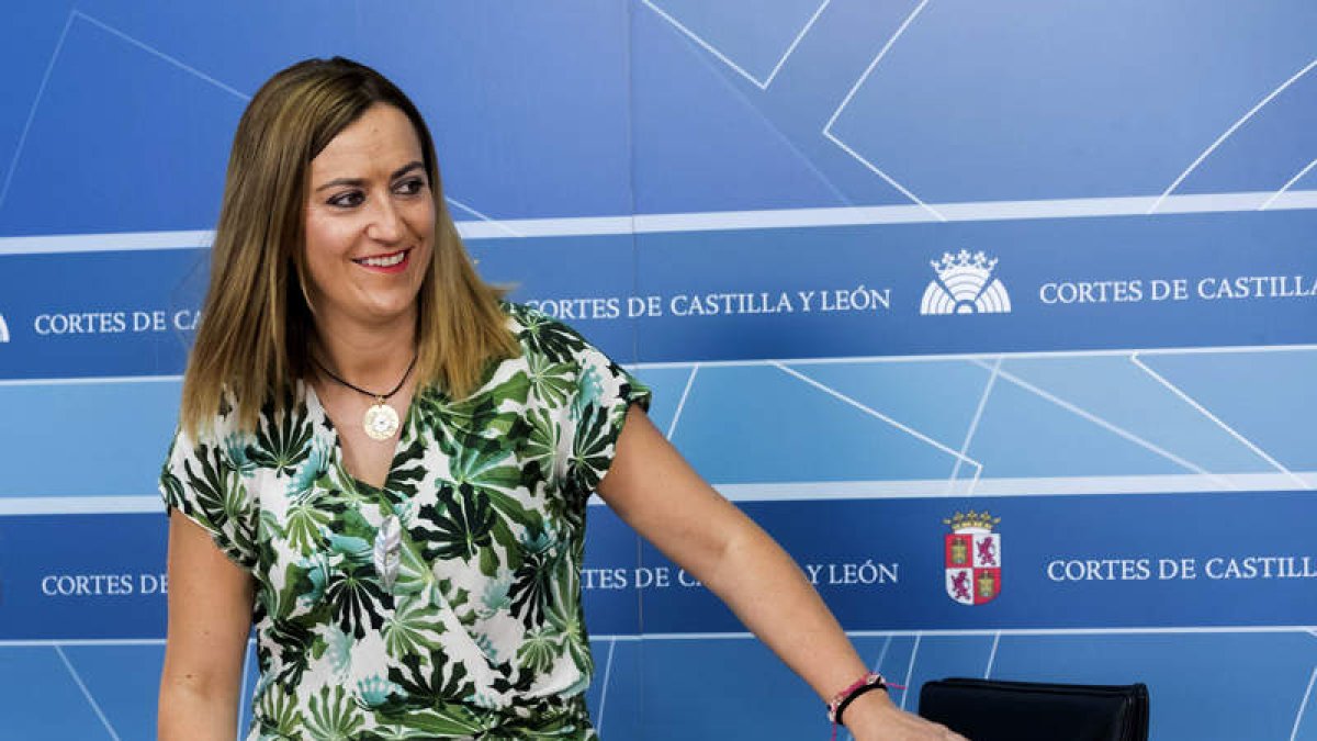 La viceportavoz del Grupo Socialista, Virginia Barcones, en la rueda de prensa de ayer. R. GARCÍA
