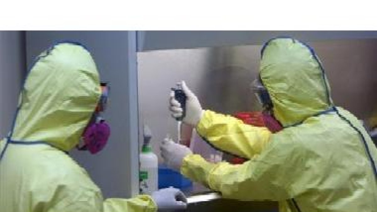 Dos científicos analizan el virus de la gripe A