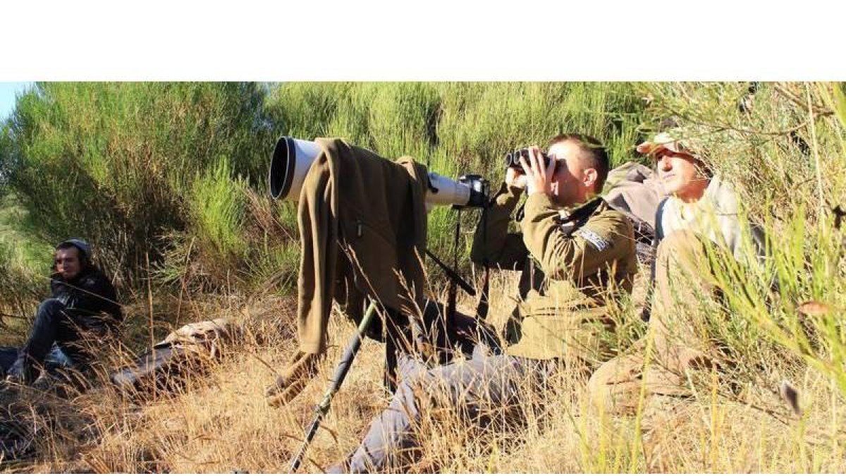 El guía de Wild Watching Spain Iñaki Reyero y el fotoperiodista Andoni Canela otean el horizonte en busca de la silueta del lobo montano.