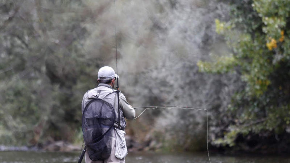 Un pescador practica su pasión en uno de los ríos de la provincia leonesa. FERNANDO OTERO