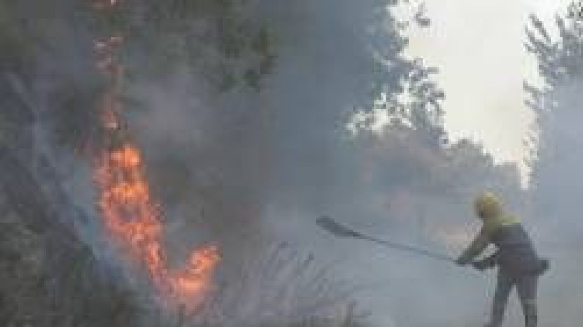 Imagen de archivo de un trabajador forestal apagando un incendio con un batefuegos, el pasado verano