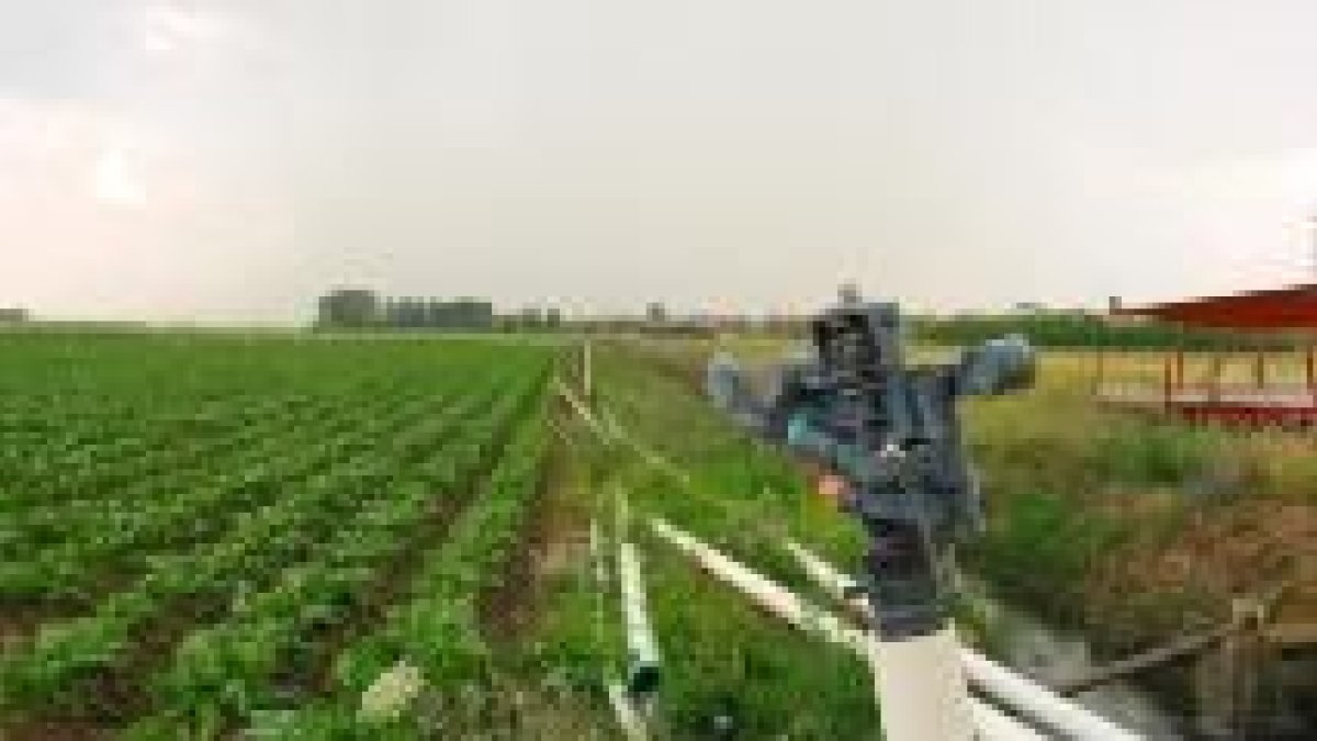 Una explotación agrícola de Toral de Fondo, donde ayer se había instalado el sistema de riego
