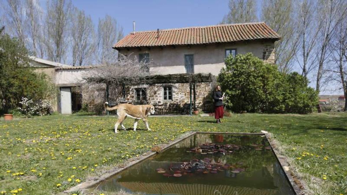 Vista del molino de Nistal, cerca de Astorga, hoy reconvertido en hotel rural con mucho encanto.