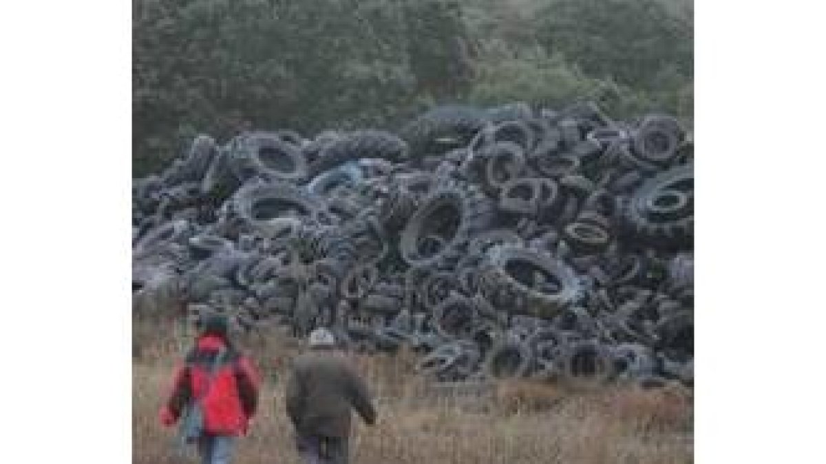 Una vaguada del monte de Valderas está repleta de ruedas, tiradas sin control