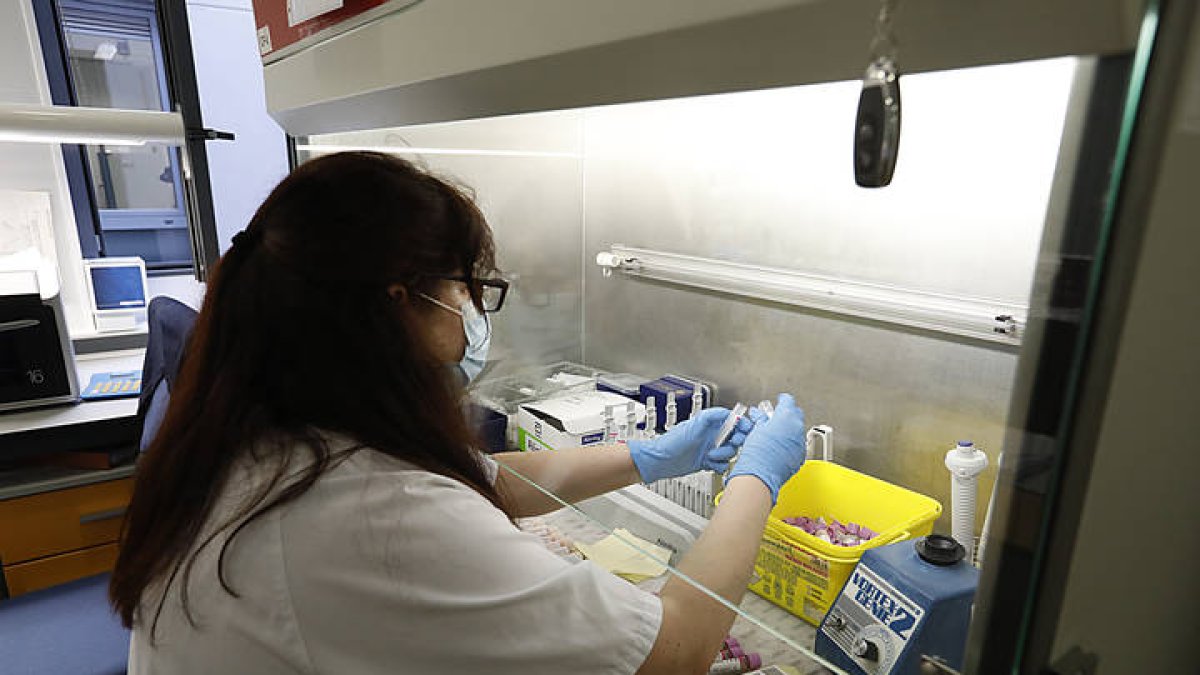 Una persona trabaja en un laboratorio. M. P.