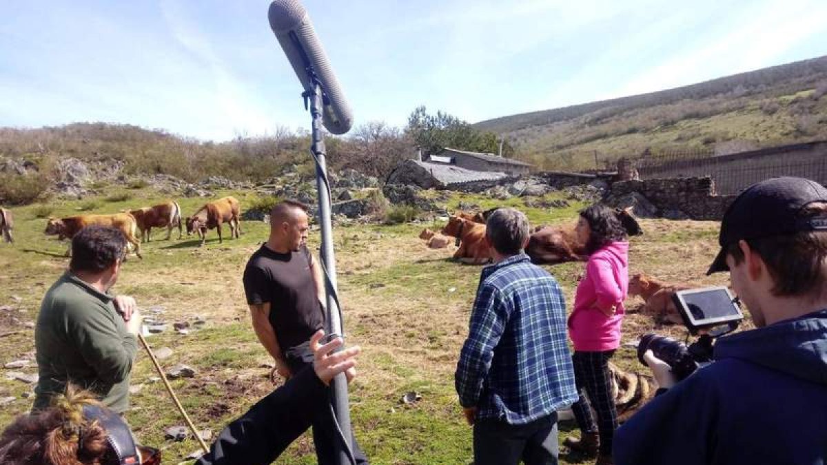 Con vacas en Caboalles de Abajo. DL