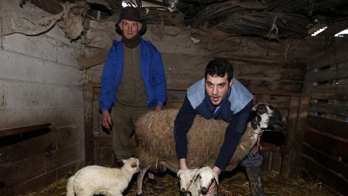 ‘Pepín’ Carrera y su nieto Luis Jorge, ayer con la oveja y los tres corderos de su última camada.
