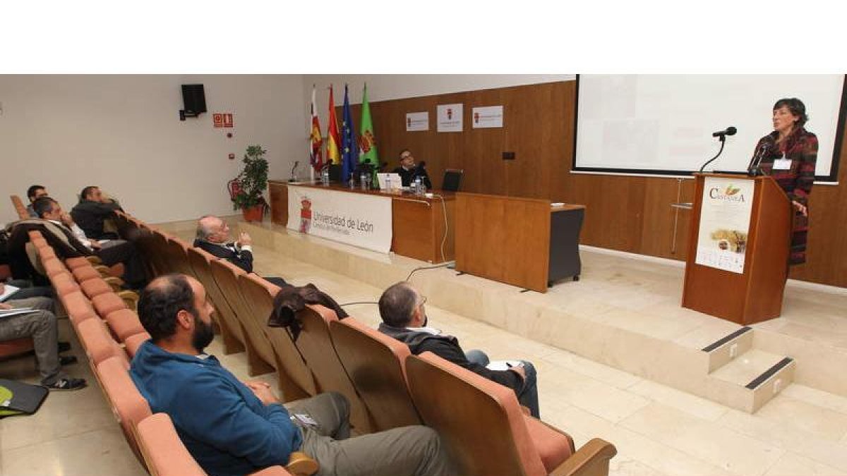 Monserrat González, ayer exponiendo su ponencia en el Campus sobre bebidas de castaña.