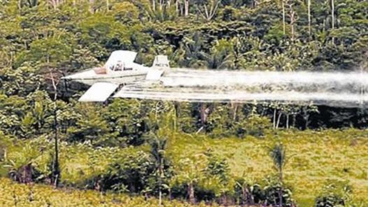 Un avión fumiga con glifosato una plantación.