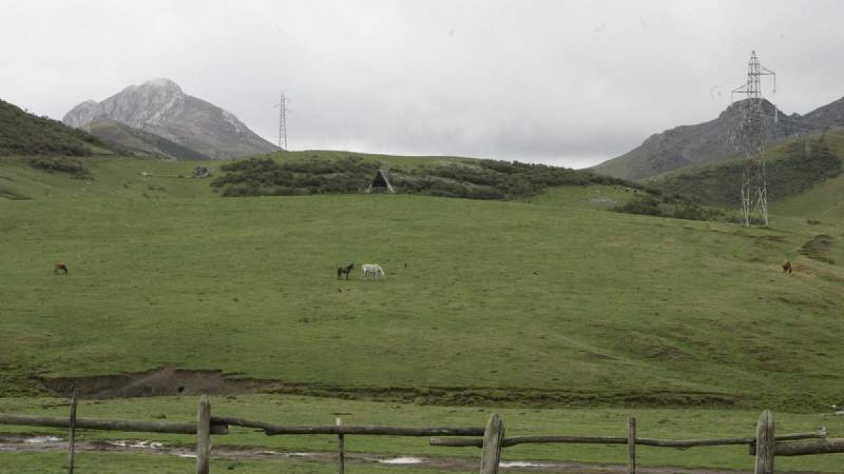 Una fotografía de archivo de los pastos del puerto de Pinos. RAMIRO