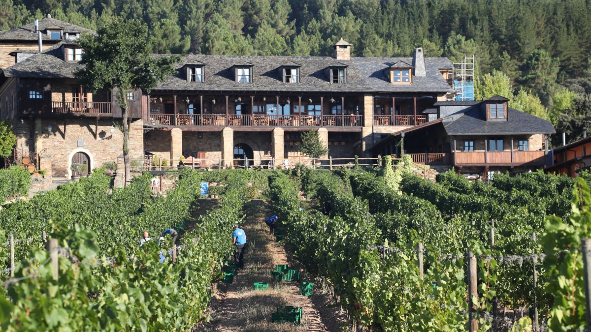 Un godello del Bierzo se corona como mejor de España en la guía de la Semana Vitivinícola