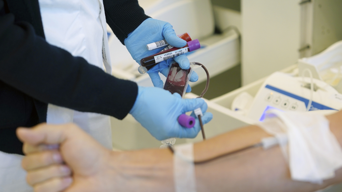 Extracción de sangre durante una campaña de captación de donantes. NACHO GALLEGO / EFE
