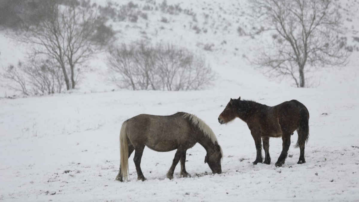La nieve a cubierto este jueves todo el norte de León. FERNANDO OTERO