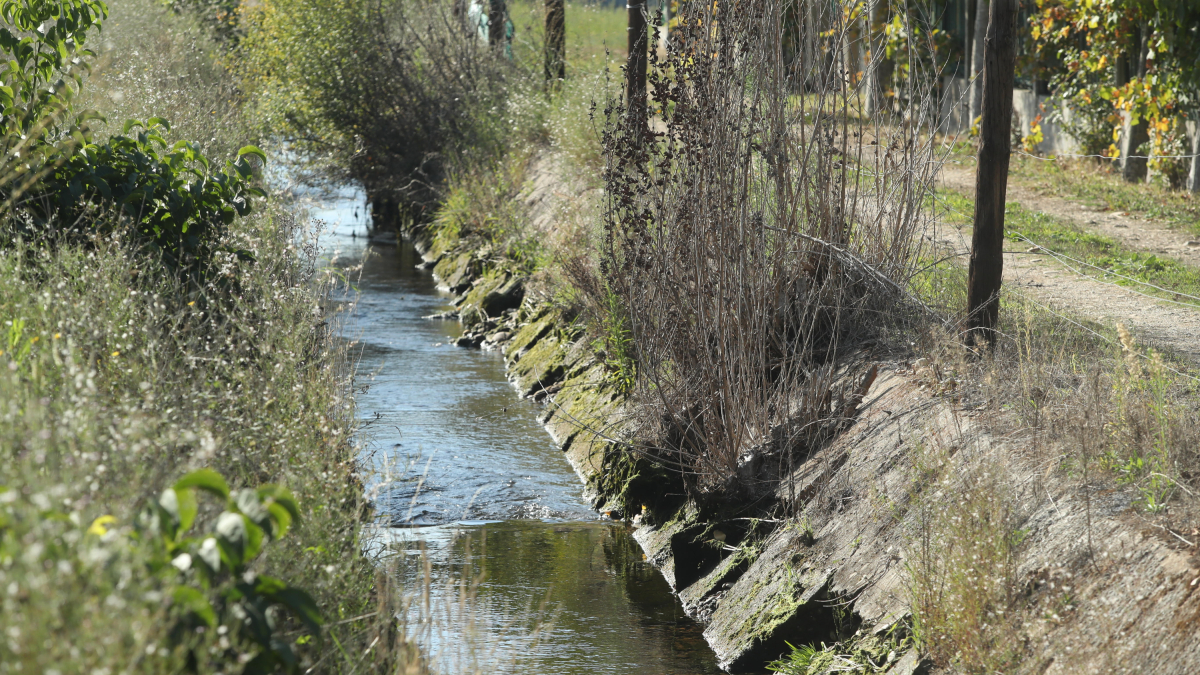 El Canal Bajo del Bierzo. L. DE LA MATA