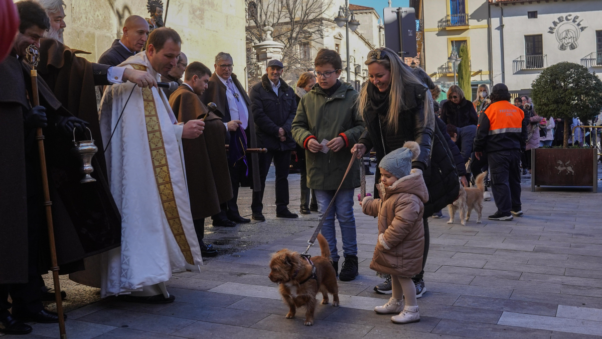 La bendición de los animales por San Antón del año pasado. MIGUEL F. B.