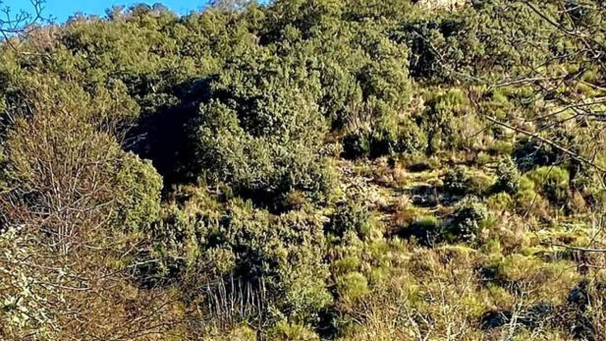 Vista de la ruta jacobea a la altura del arroyo de Isorga.