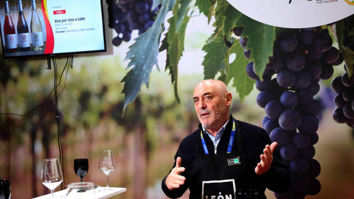 Cata de vinos de la D.O. Leon dirigida y comentada por Rafa Blanco