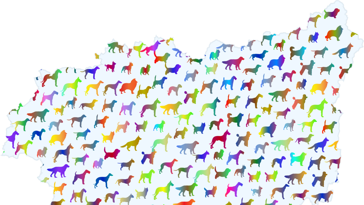 Ilustración de un mapa de León.