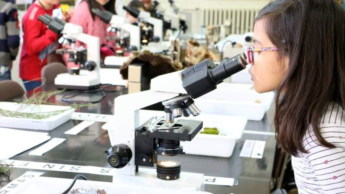 Una niña realiza un experimento con un microscopio en jornadas anteriores. DL
