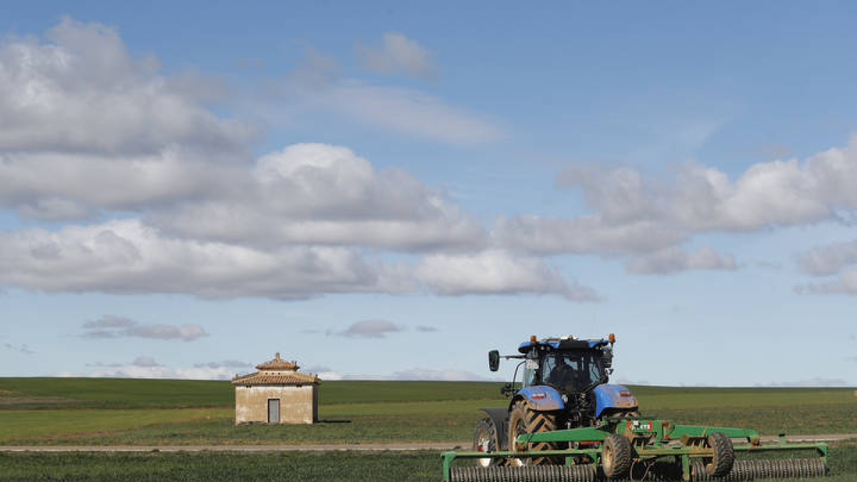 Un agricultor trabaja la tierra.