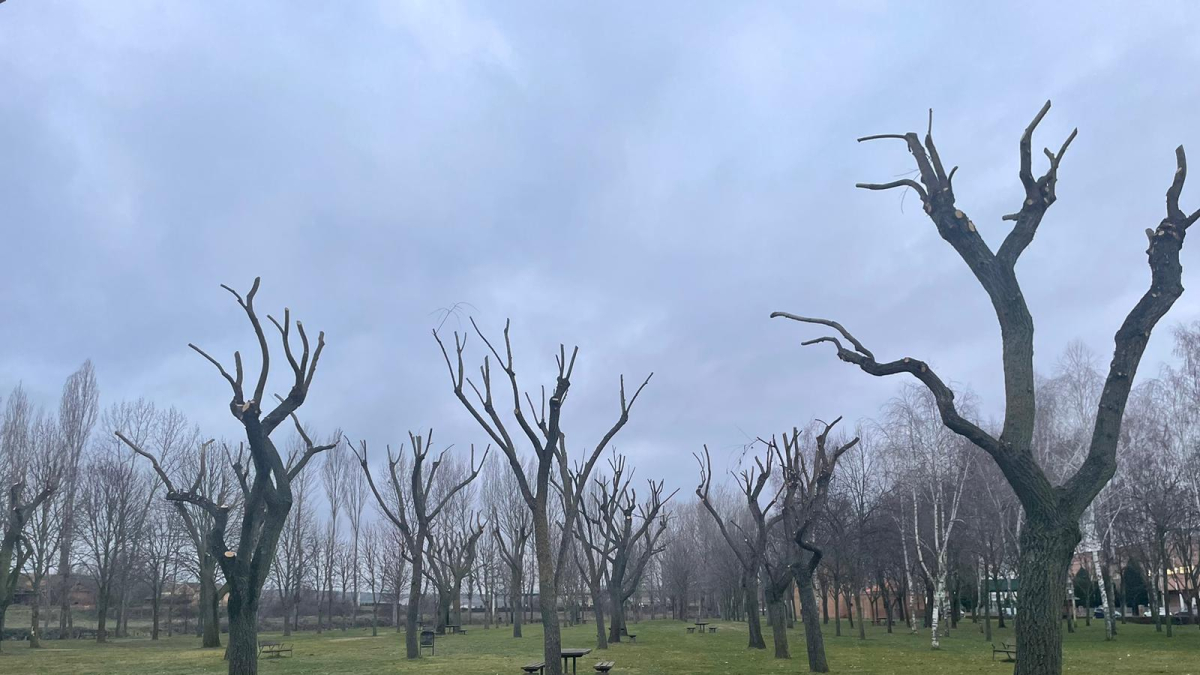 Parque de la Eragudina de Astorga después de los trabajos de poda.