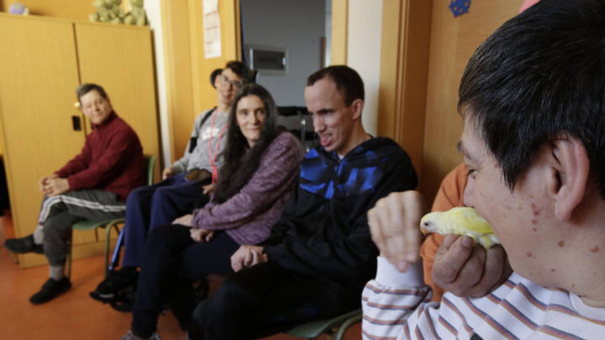 Terapia con pájaros en Aspace.