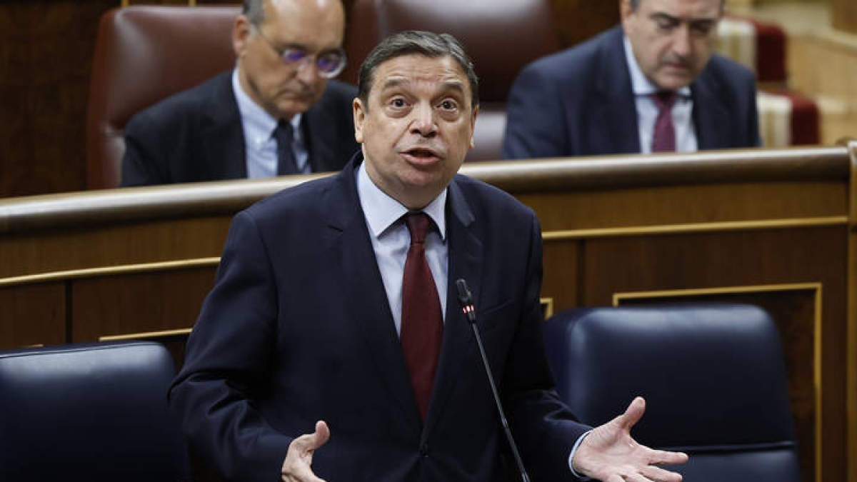 El ministro de Agricultura, Luis Planas, interviene en la sesión de control al Gobierno este miércoles en el Congreso.