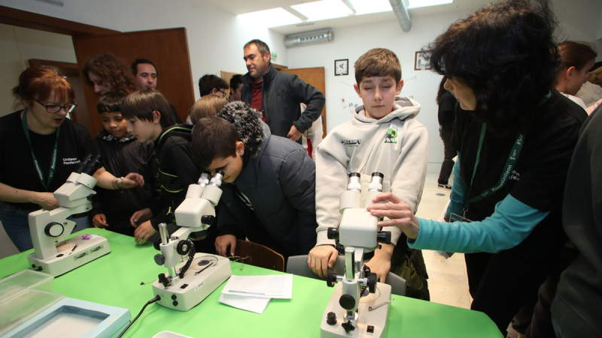 Escolares en plena sesión de uno de los talleres de Expociencia.