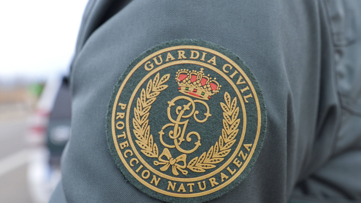 Tras la huella del hombre para poner coto al maltrato animal.