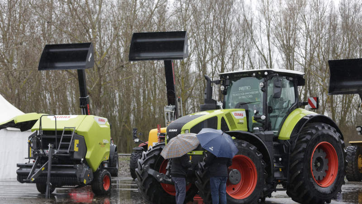 Feria de Febrero en Valencia de Don Juan.  FERNANDO OTERO