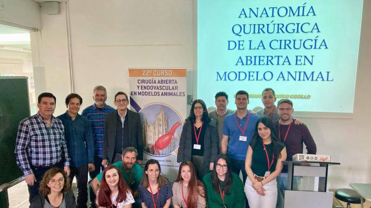 Imagen de los profesores y participantes en el curso.  DL
