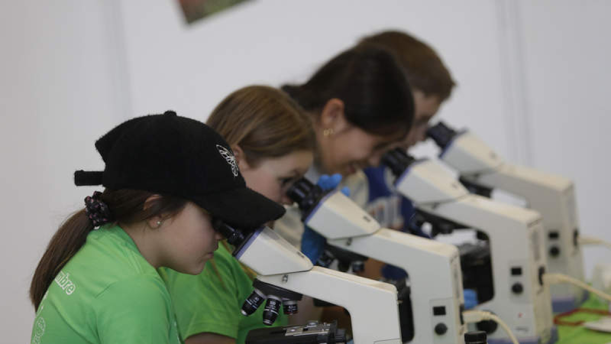 Participantes en uno de los talleres de la pasada edición de Expociencia. fernando otero