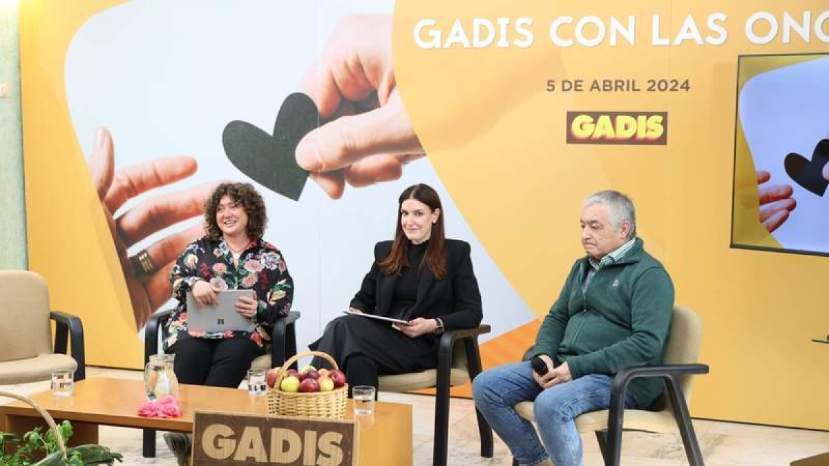 Encuentro de Gadis y Oenegés. DL
