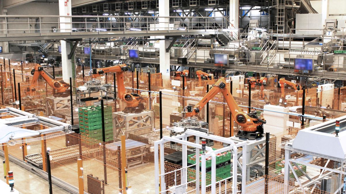 Instalaciones de Patatas Hijolusa.