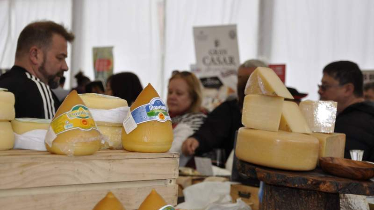 La feria se celebrará ste año en el recinto de Expocoyanza.  DL