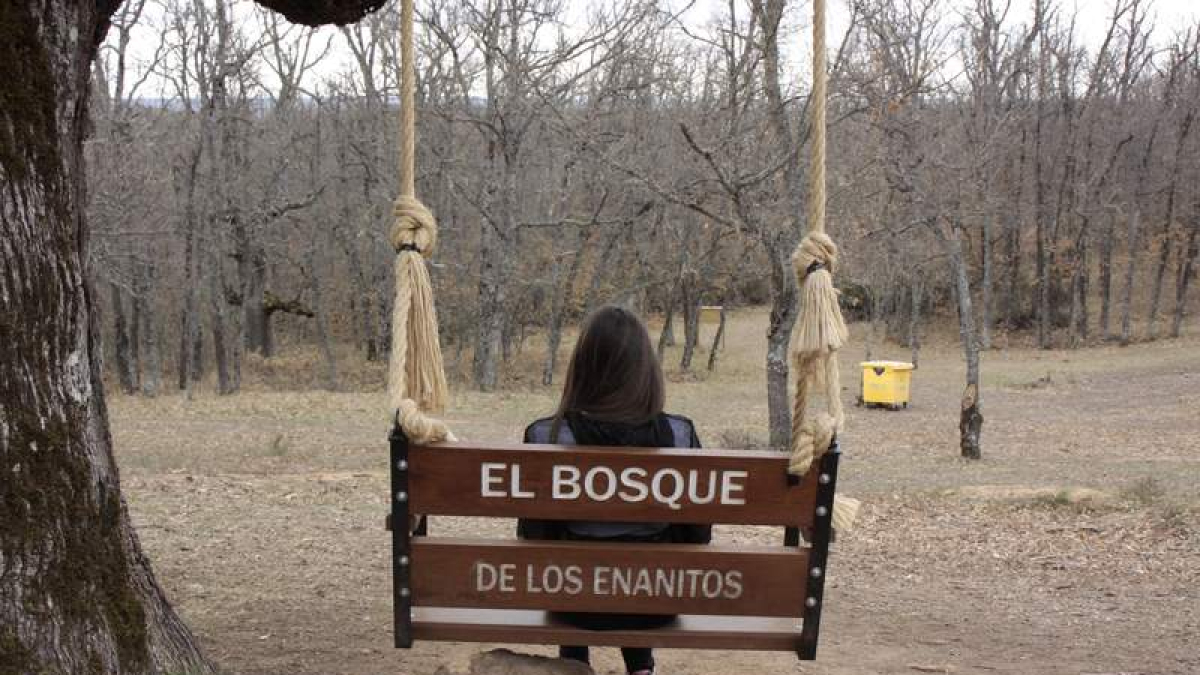 Bosque de los enanitos en Almanza.  CAMPOS