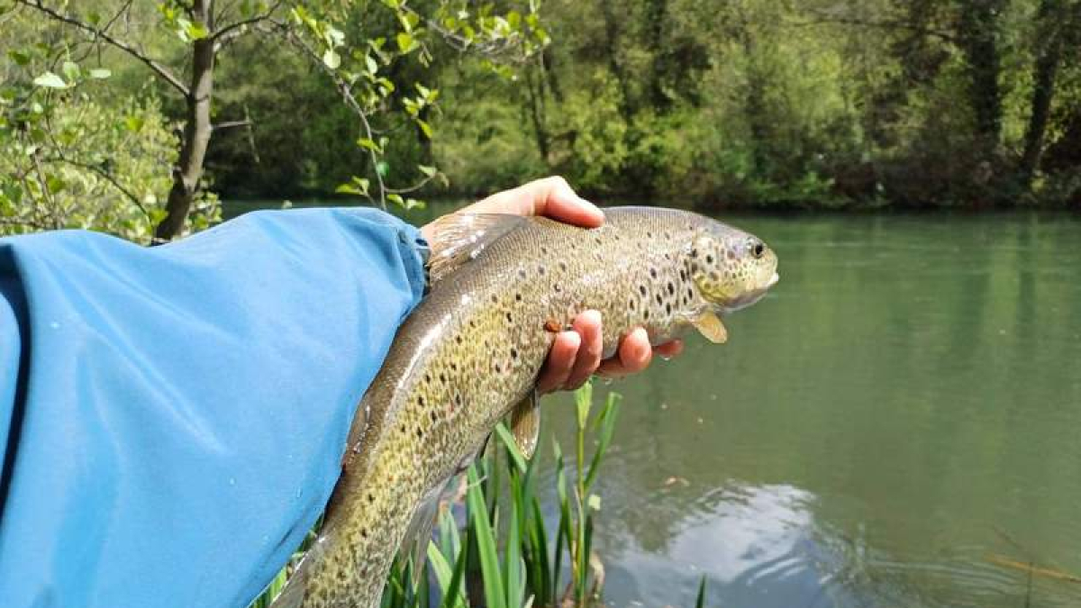 Las condiciones para la pesca en la provincia están mejorando con el buen tiempo. VANESSA